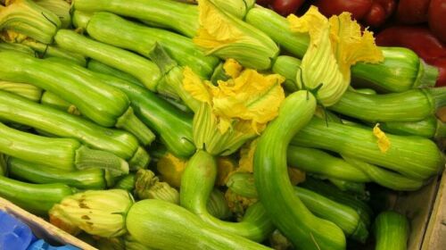 courgettes de Nice