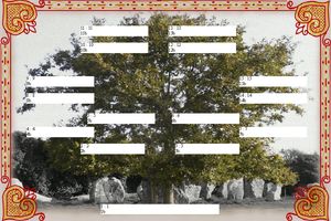 broderie bretonne,arbre genealogique gratuit  imprimer 