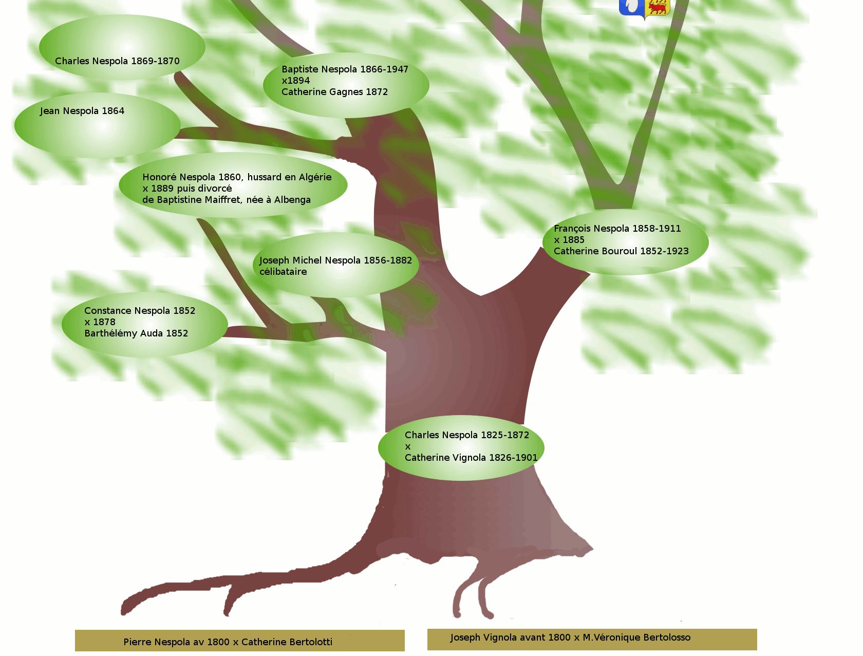 Le début de l'arbre généalogique Nespola