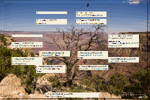 grand canyon, arbre genealogique gratuit à imprimer 