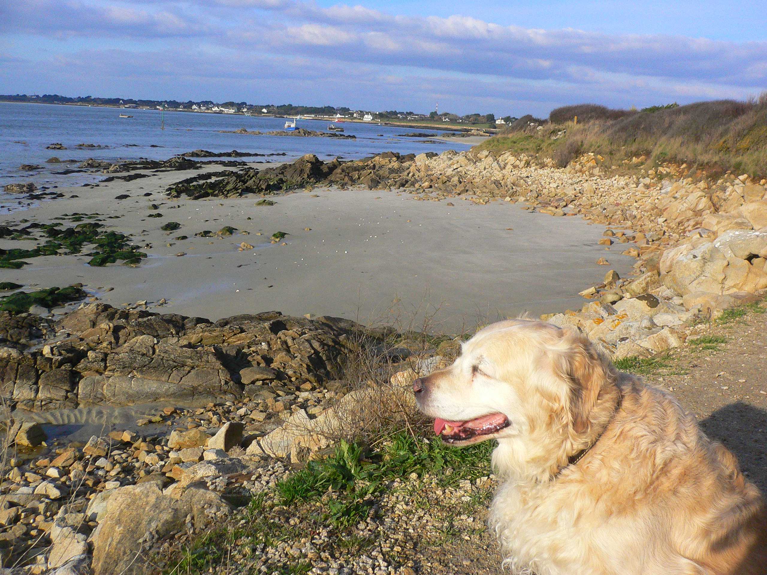 Carnac, plage St Colomban