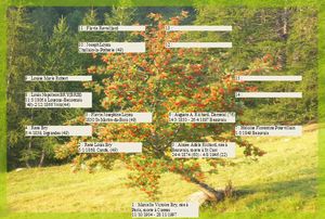 sorbier,arbre genealogique gratuit  imprimer 