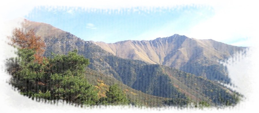 mont bertrand