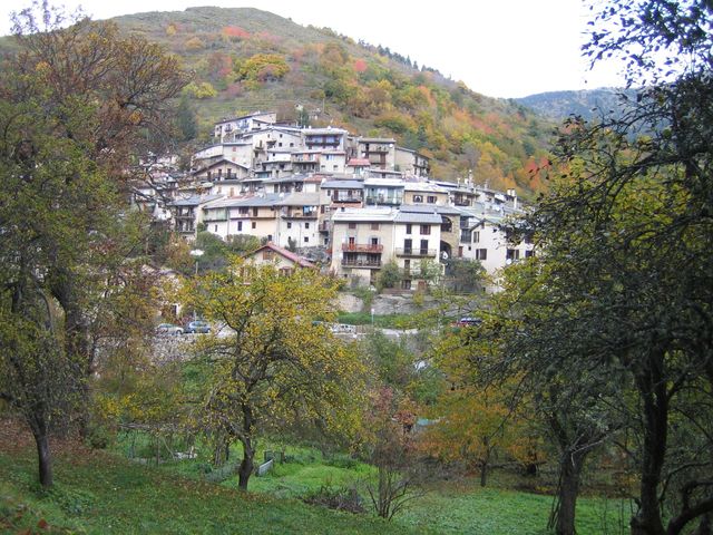 Morignole